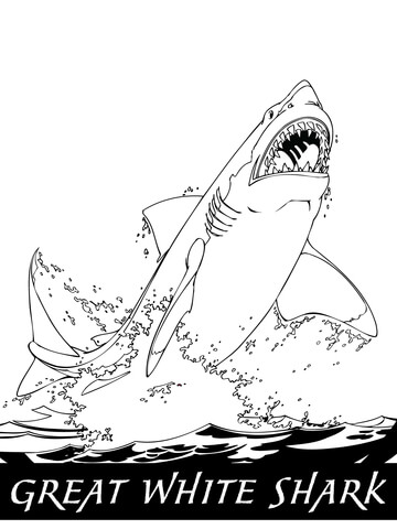 Great White Shark Jumping Out Of The Water Coloring Page